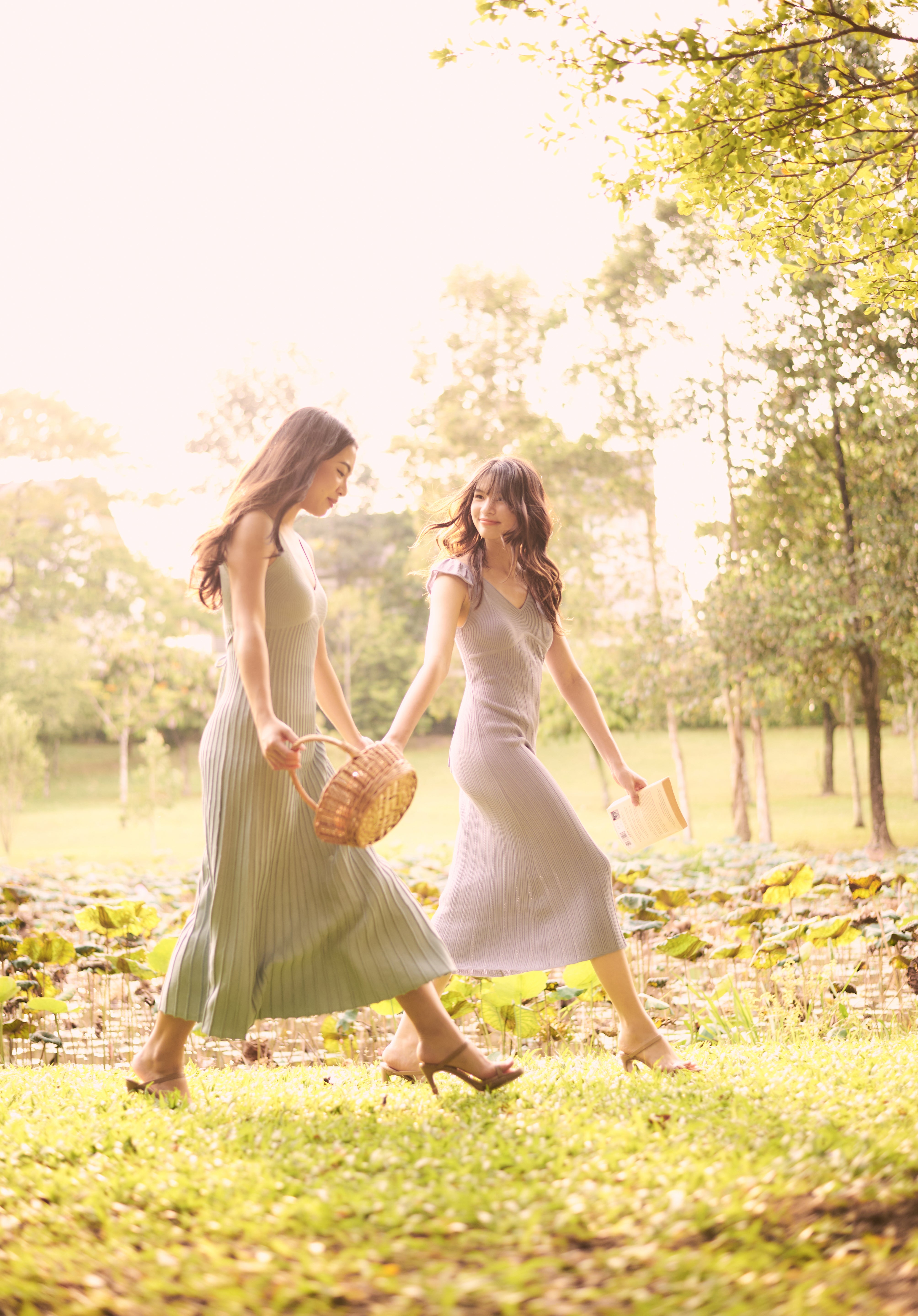 The Haven Collection