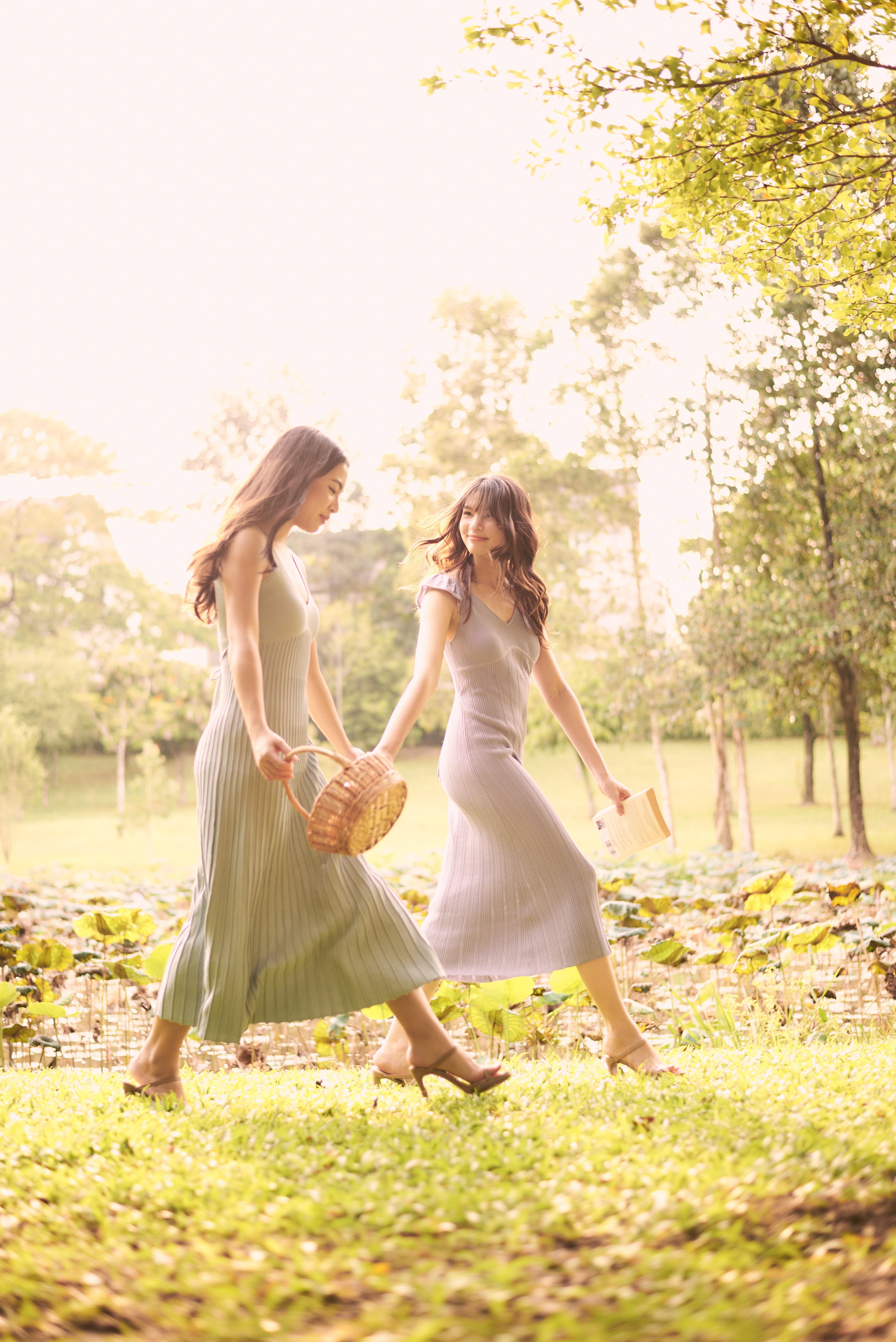 The Haven Collection