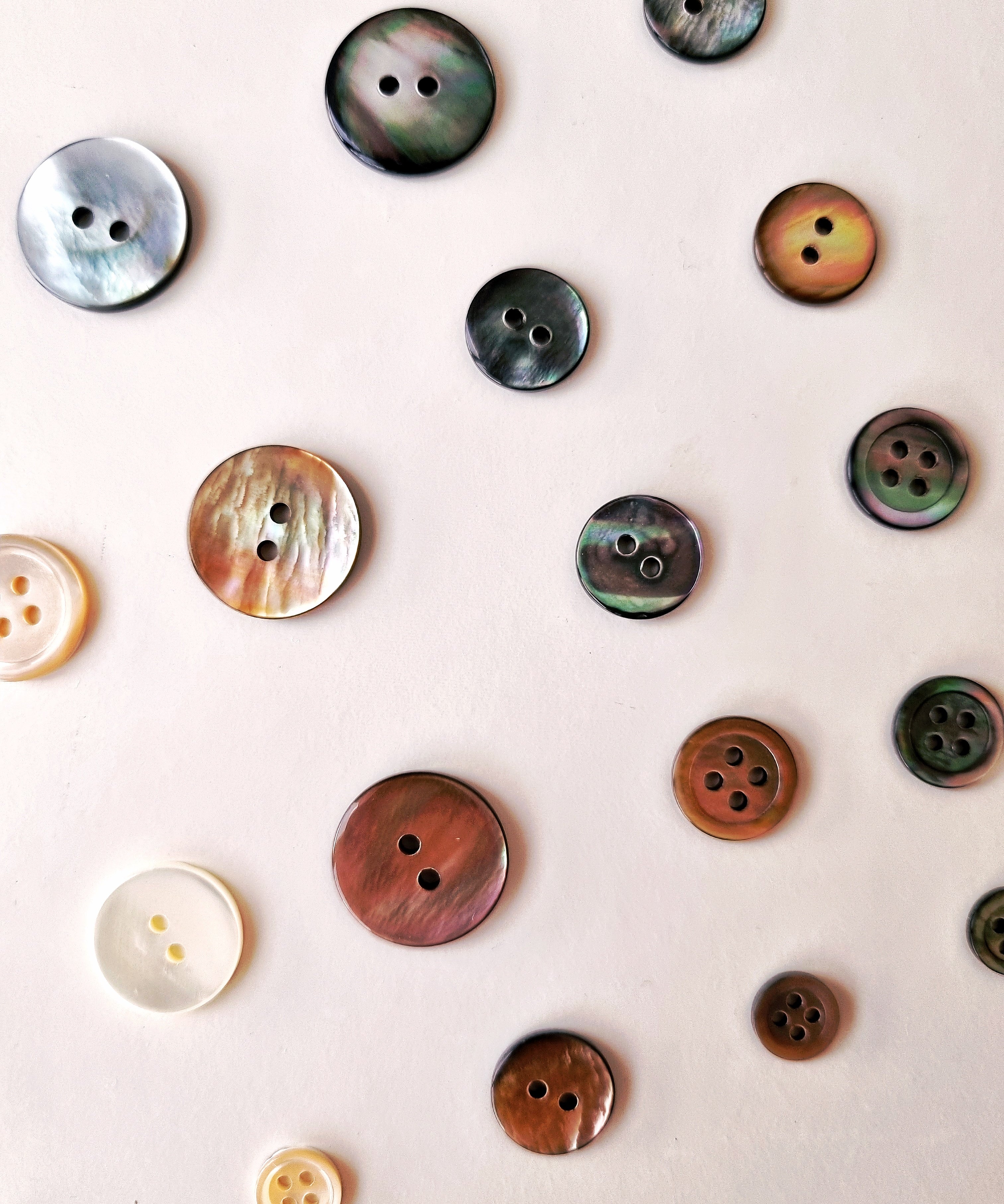 hello ronron | Genuine Japanese seashell buttons