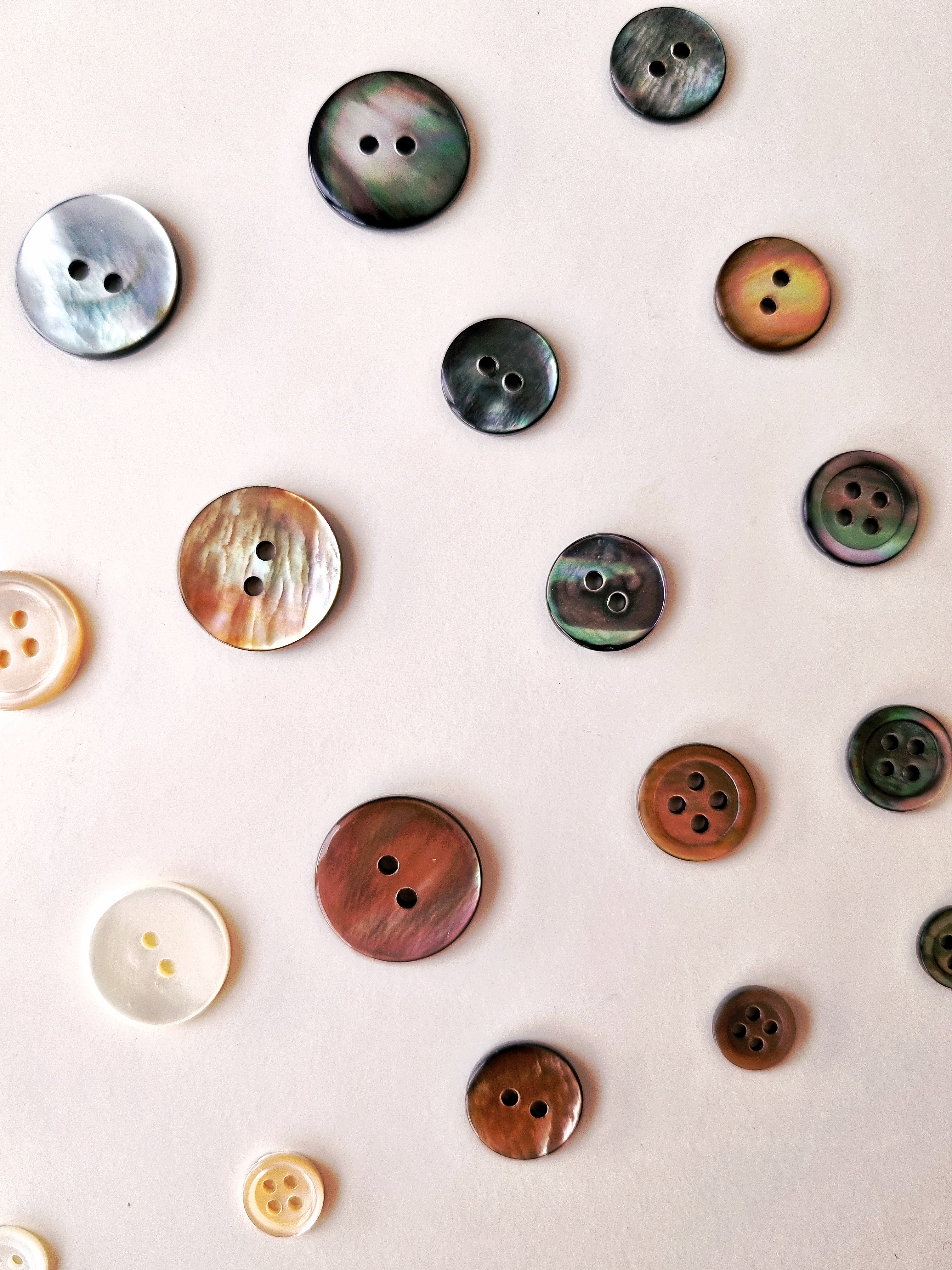 hello ronron | Genuine Japanese seashell buttons